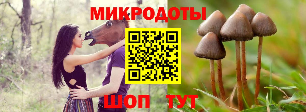 Псилоцибиновые грибы GOLDEN TEACHER  Вход с VPN  Златоуст 